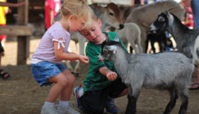 Explore the Wonders of Lake Tobias Zoo – Lancaster Local Secrets